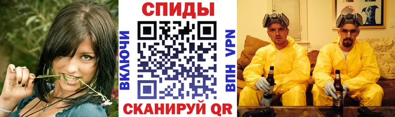 МЕГА зеркало цена Купино АМФ Premium