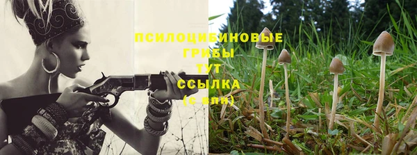 гашишное масло Богородицк
