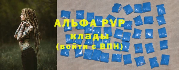 гидра Елабуга
